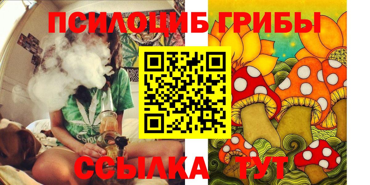 Псилоцибиновые грибы прущие грибы Маркс