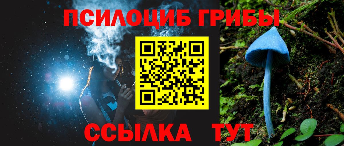 где найти   Вход с VPN  Маркс  Галлюциногенные грибы мухоморы 